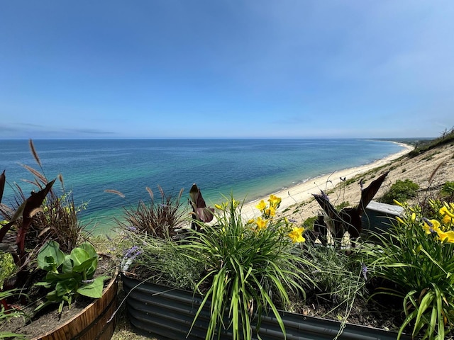 property view of water featuring a beach view