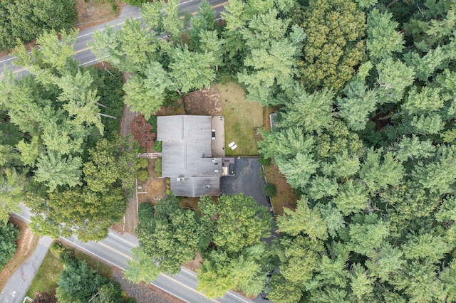 28 Brook St, Plympton, MA 02367 - aerial overview of property's location