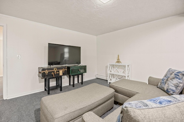 28 Brook St, Plympton, MA 02367 - carpeted living area with baseboards, ornamental molding, and a textured ceiling
