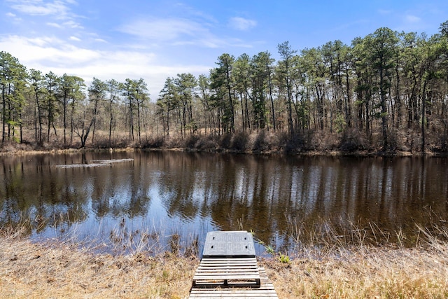 64 Gold Finch Ln, South Dennis, MA 02660 - dock area with a water view