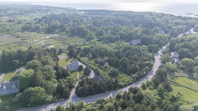 625 Bridge Rd, Eastham, MA 02642 - aerial view of property's location with a forest