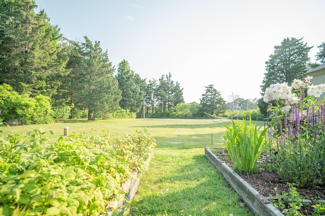 625 Bridge Rd, Eastham, MA 02642 - view of green lawn featuring a garden