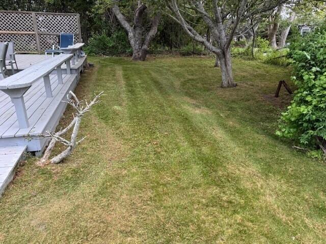 43 Stony Way E, Dennis, MA 02641 - view of grassy yard