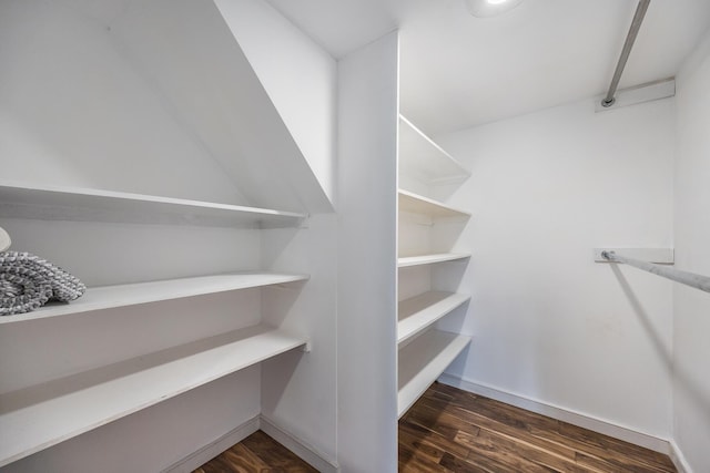 spacious closet featuring wood finished floors