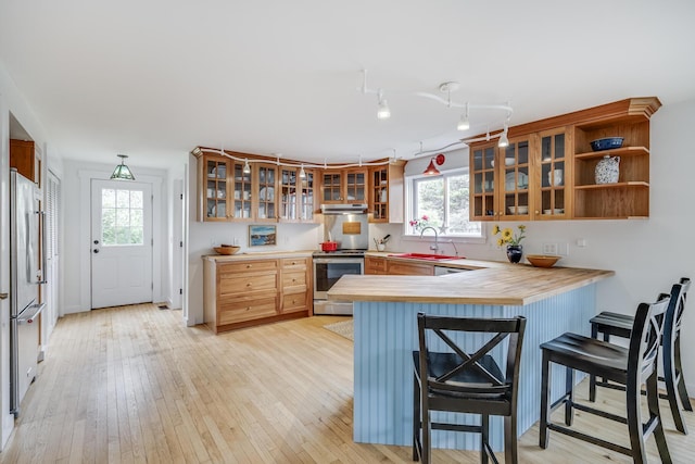 kitchen featuring stainless steel appliances, a peninsula, a sink, light countertops, and healthy amount of natural light