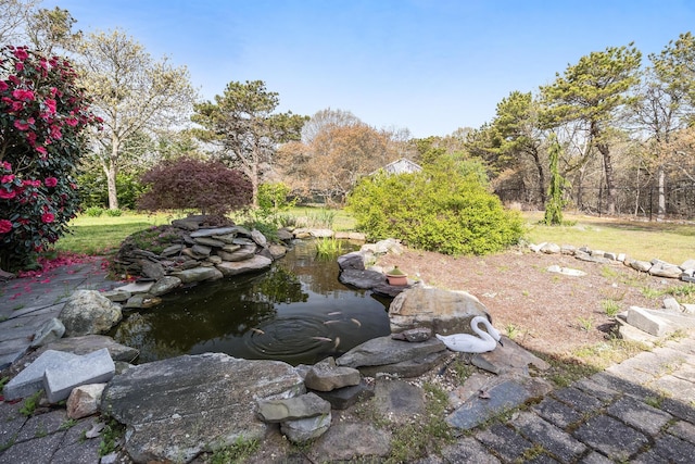 view of yard featuring a garden pond