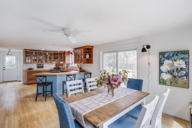 dining area featuring healthy amount of natural light, light wood-type flooring, and a ceiling fan