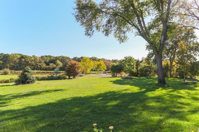 view of home's community featuring a lawn