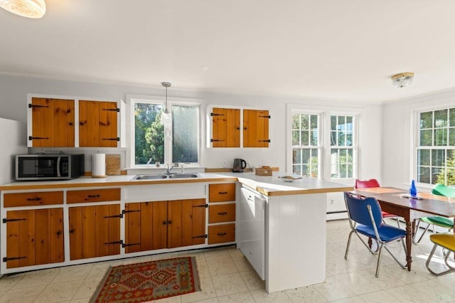 kitchen featuring sink, a healthy amount of sunlight, dishwasher, and hanging light fixtures