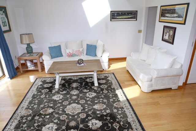 living room featuring baseboards and wood finished floors