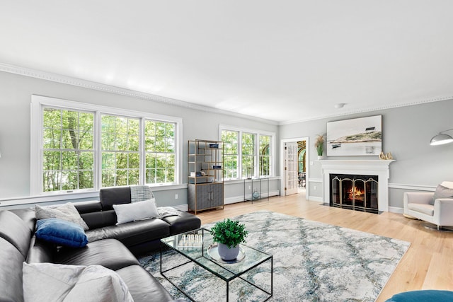 living area featuring crown molding, a fireplace with flush hearth, wood finished floors, and baseboards