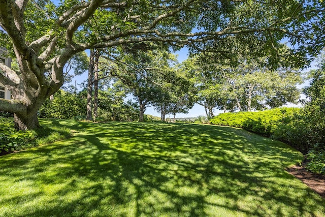 33 Pasture Rd, Cataumet, MA 02534 - photo 24