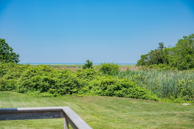 56 Wharf Ln, Yarmouth Port, MA 02675 - view of grassy yard