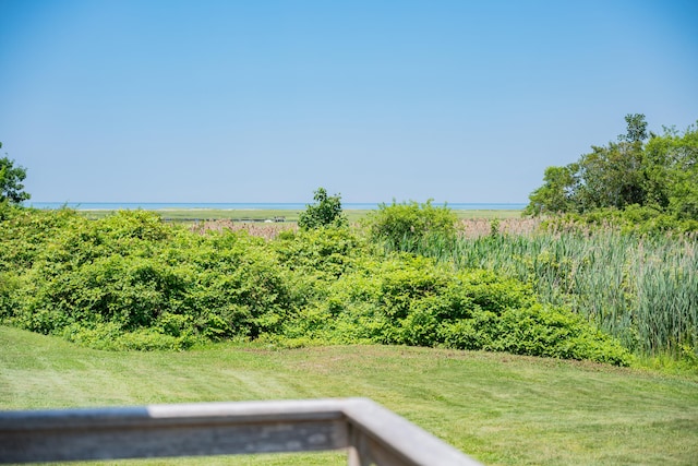 56 Wharf Ln, Yarmouth Port, MA 02675 - view of yard