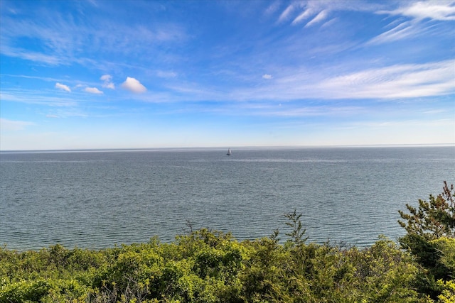 31 Bay View Rd, Truro, MA 02666 - photo 29