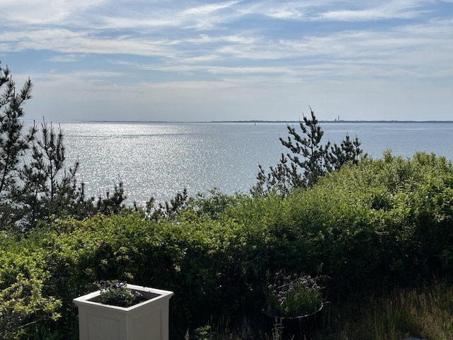 31 Bay View Rd, Truro, MA 02666 - photo 25