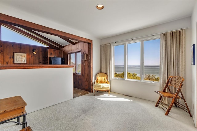 31 Bay View Rd, Truro, MA 02666 - photo 10