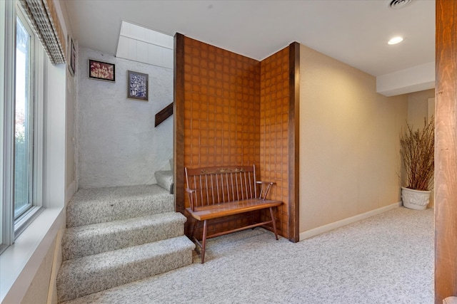 31 Bay View Rd, Truro, MA 02666 - photo 44