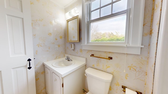 bathroom with a healthy amount of sunlight, toilet, and vanity