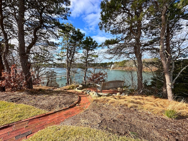 view of yard with a water view