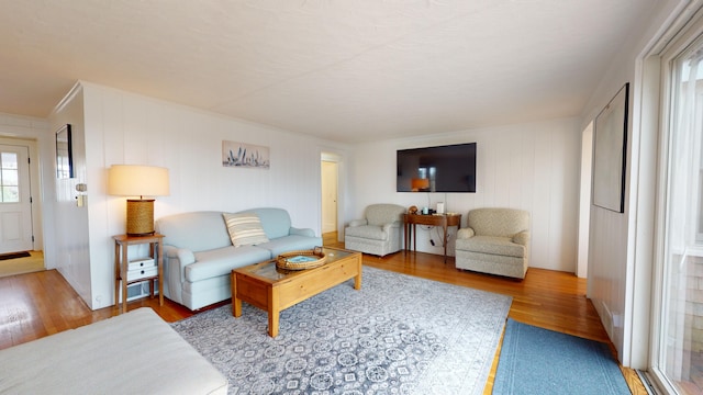 living room with wood-type flooring