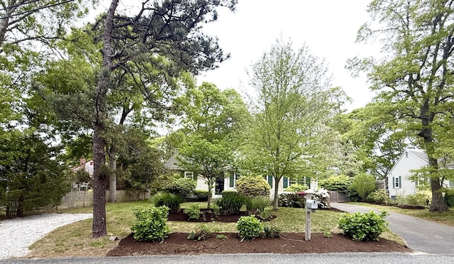 4 Frank Doyle Rd, South Dennis, MA 02660 - view of property hidden behind natural elements featuring asphalt driveway
