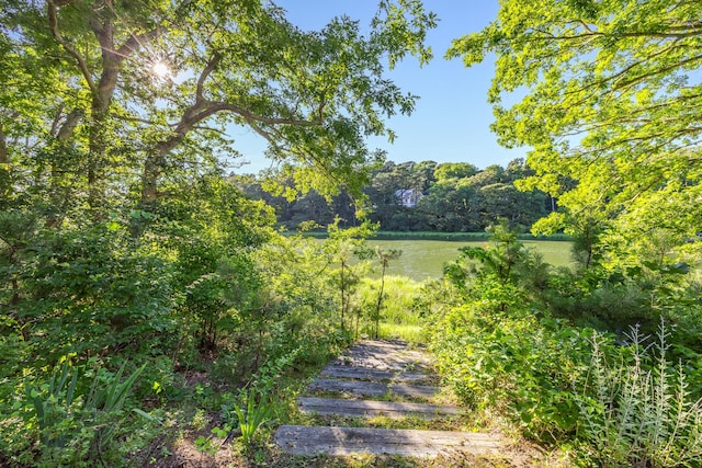 193 Quanset Rd, Orleans, MA 02653 - photo 59