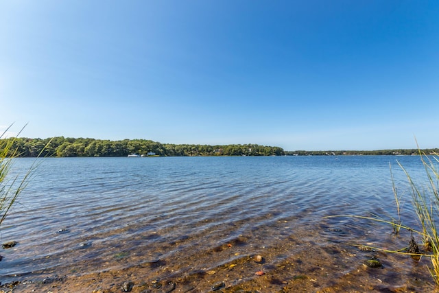 property view of water