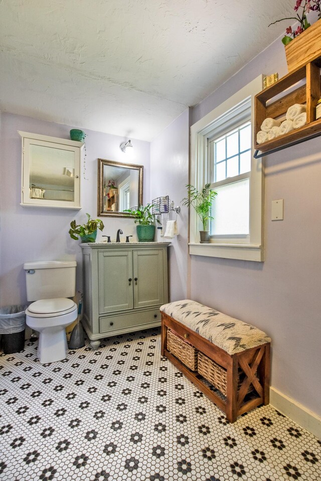 bathroom with toilet and vanity