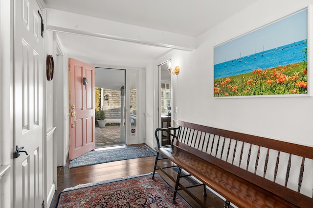 foyer entrance with hardwood / wood-style flooring