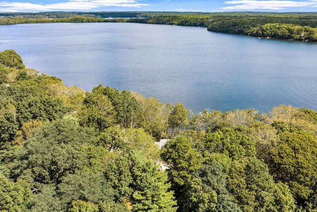 67 Redwood Cir, Mashpee, MA 02649 - water view with a heavily wooded area