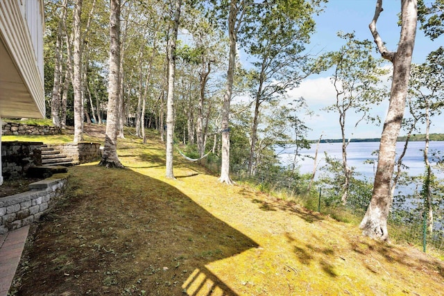 view of yard with a water view