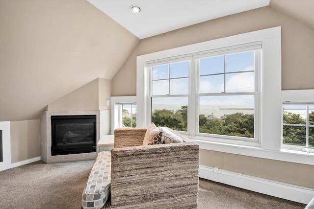 carpeted living room featuring vaulted ceiling and baseboard heating