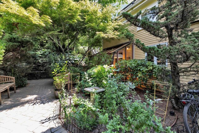 view of yard featuring a patio