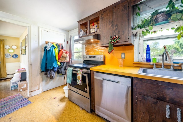 24 Hazelmoor Rd, South Yarmouth, MA 02664 - kitchen with stainless steel appliances, a sink, under cabinet range hood, dark brown cabinets, and plenty of natural light