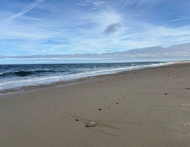 view of water feature with a beach view