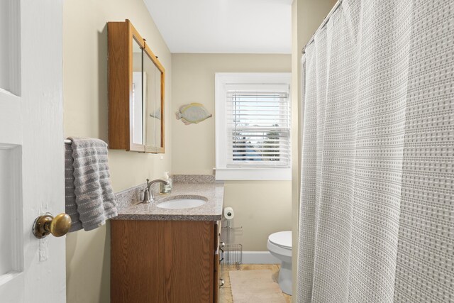 bathroom with toilet and vanity