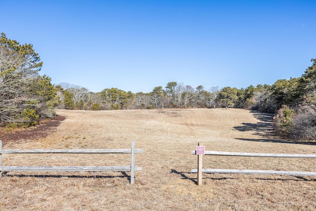 view of yard with a rural view