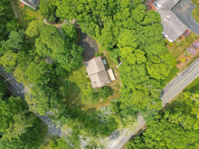 20 Olofson Dr, Cataumet, MA 02534 - photo 32