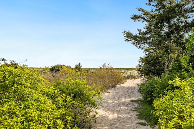 780 Craigville Beach Rd Unit B1, Centerville, MA 02632 - view of road