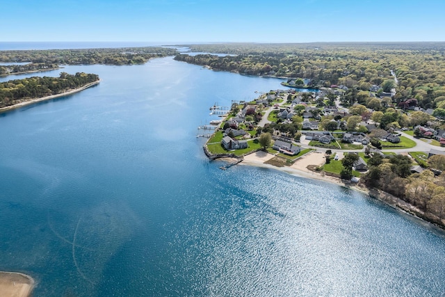 bird's eye view of a nearby body of water