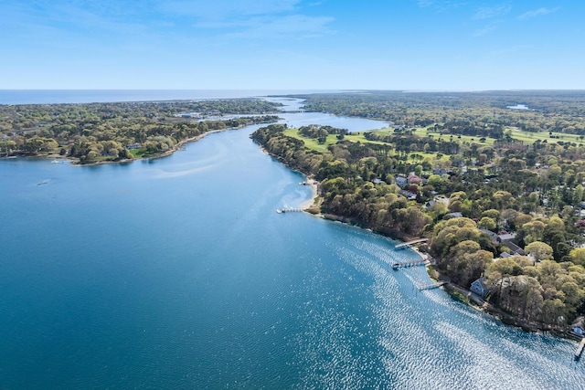 bird's eye view of a large body of water and a heavily wooded area