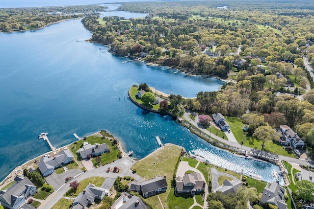 aerial overview of property's location featuring a large body of water, nearby suburban area, and a forest