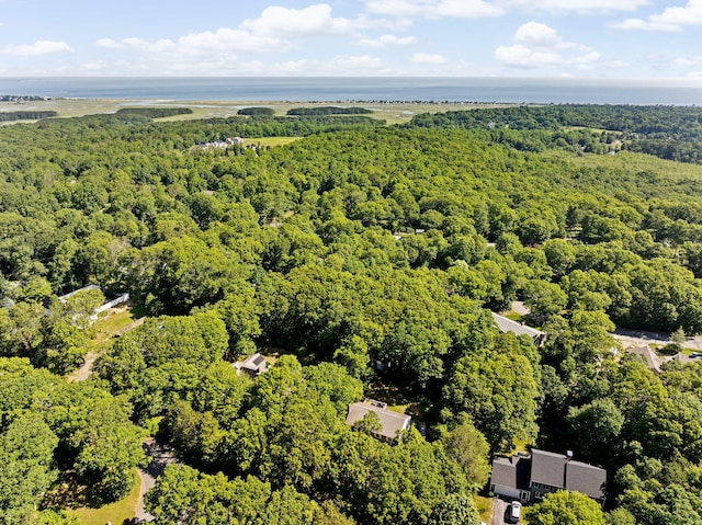 15 Surrey Ln, Sandwich, MA 02563 - photo 34