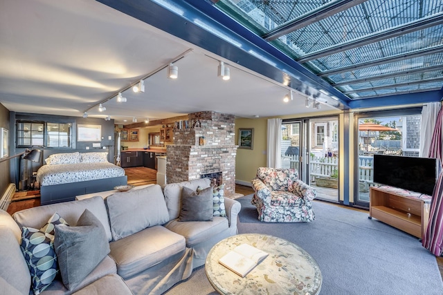 bedroom with rail lighting, access to exterior, multiple windows, and a fireplace