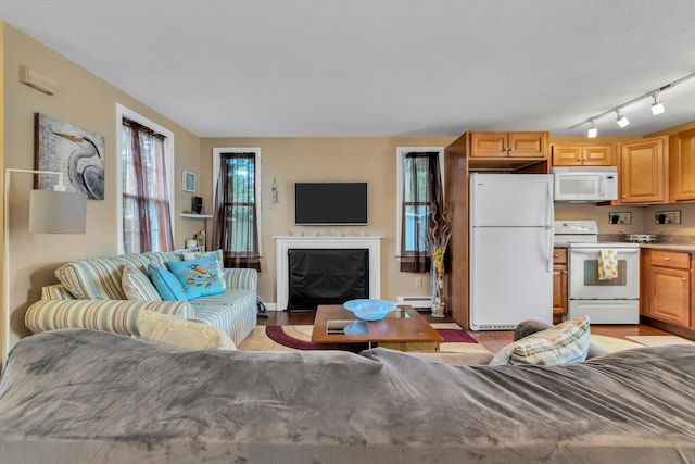 111 School St Unit 6, West Dennis, MA 02670 - living room with baseboard heating, a high end fireplace, light wood-style flooring, and rail lighting