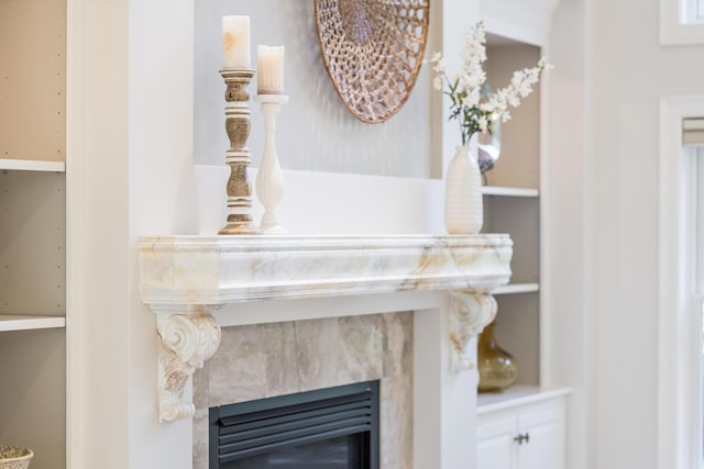 interior details with a premium fireplace