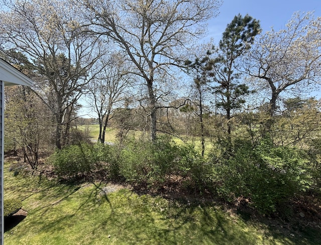 view of undeveloped land