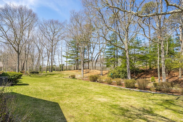 view of green lawn