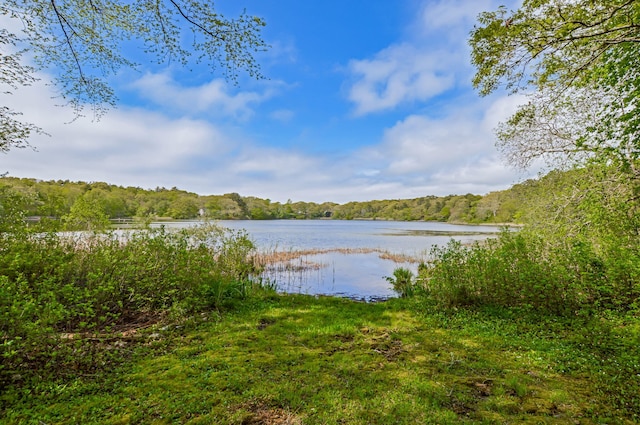 61 Bay Rd, North Falmouth, MA 02556 - water view with a forest